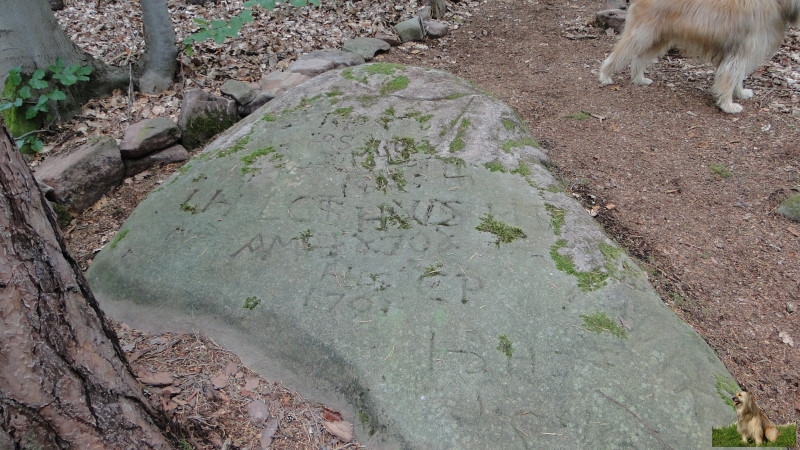 Ritterstein Nr. 255-18 Breite Loog, Grenzsiegelung.JPG - Ritterstein Nr.255 Breite Loog, Grenzsiegelung